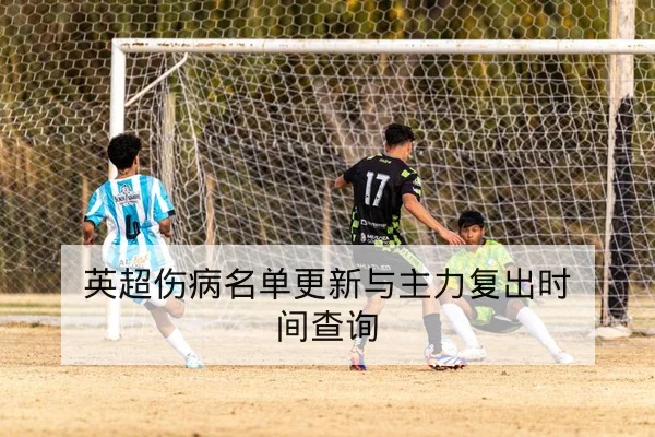 CBA季后赛球队轮换与关键内线篮板率数据